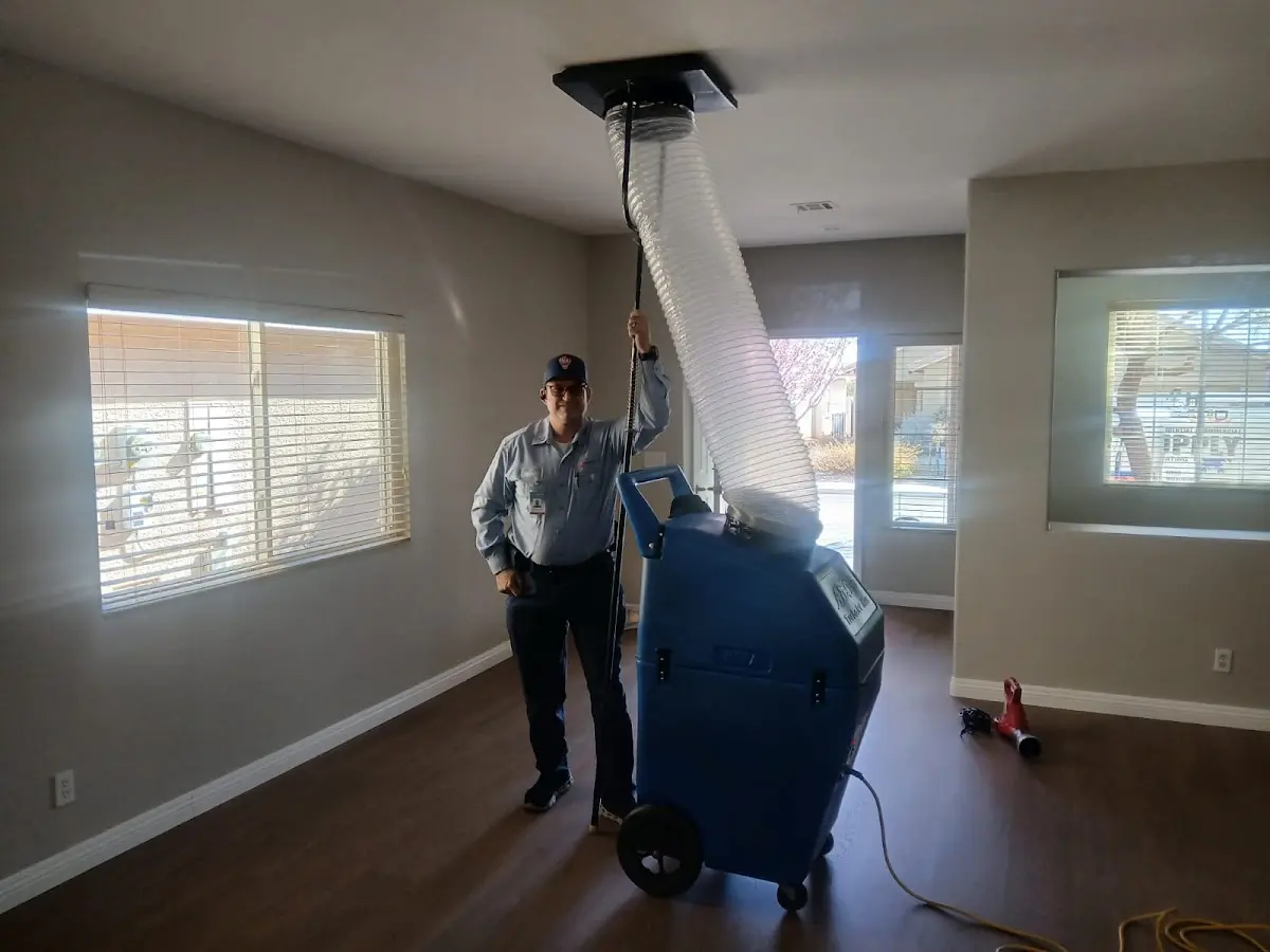 Professional Dryer Vent Cleaning work inside a Richardson home